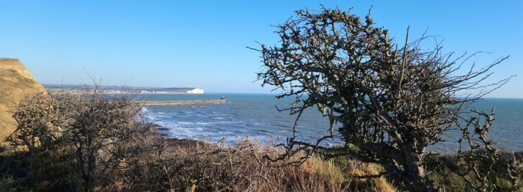 This image has an empty alt attribute; its file name is banner-1024x376.jpg